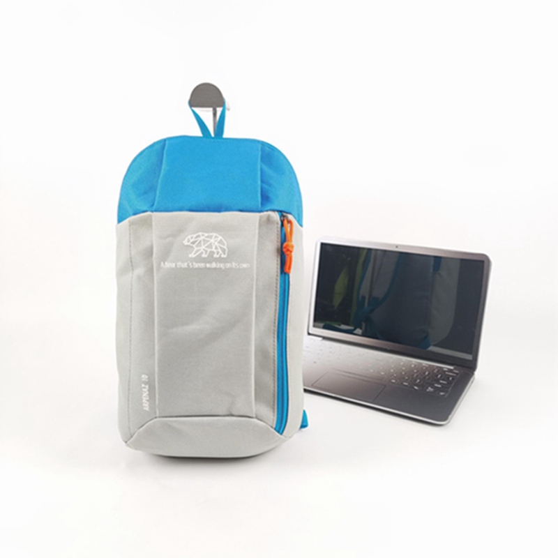 Classical Basic Travel Backpack For School